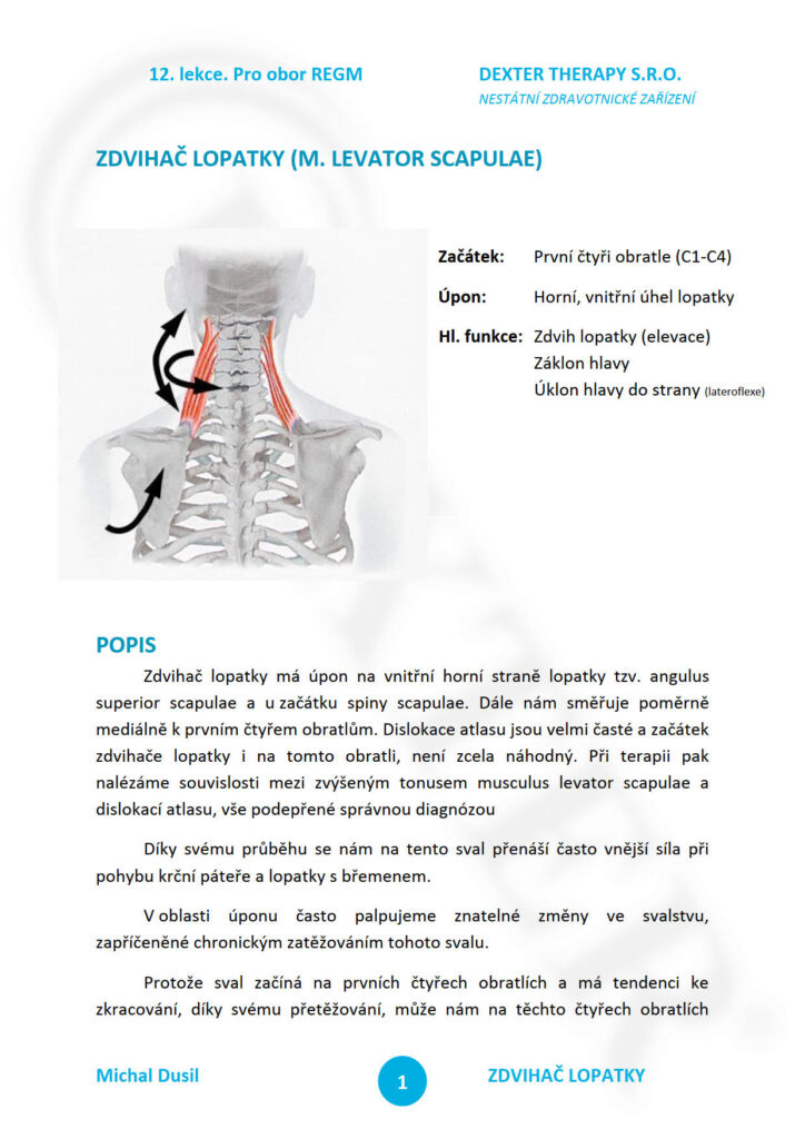 Online masérský kurz Dexter - skripta