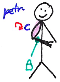 Masáž horní končetiny – kresba 07