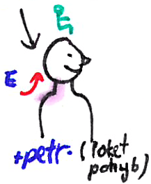 Masáž šíje – kresba 4